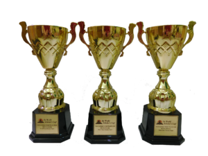 Piala Import 8