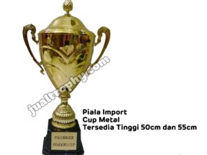 Jual Piala Murah Trophy Murah Jakarta Pabrik Piala Harga Piala Harga Trophy