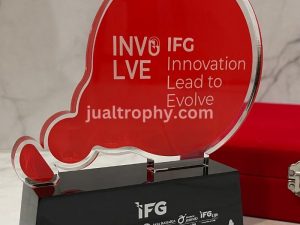Plakat IFG