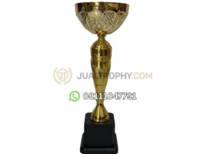 Trophy Import Metal Cup